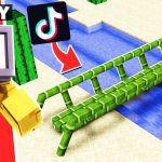 I TRICKED CHAPATI WITH TIKTOK HACKS