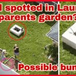 Is Brian Laundrie hiding in his OWN backyard? Drone pic triggers bunker speculations