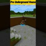 MINECRAFT PRO UNDERGROUND HOUSE ?