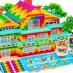 Satisfying Video | My Hamsters Enjoy A Vacation At Swimming Pool In Their Grandparents New Home