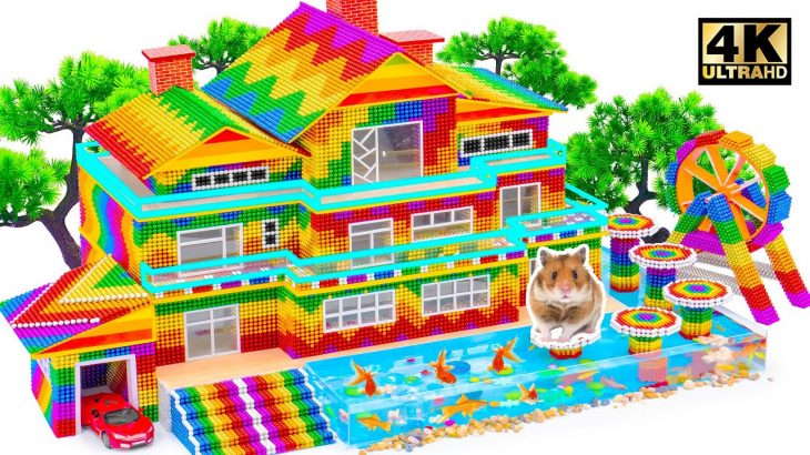 Satisfying Video | My Hamsters Enjoy A Vacation At Swimming Pool In Their Grandparents New Home