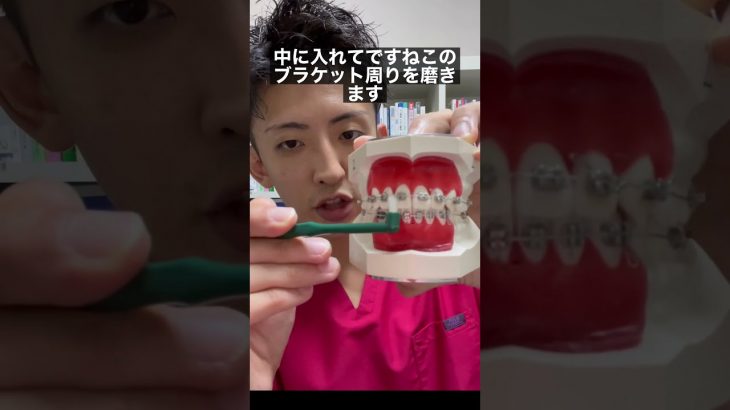 ワイヤー矯正中の歯の磨き方 #Shorts