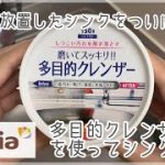 【セリアの多目的クレンザーを使ってシンク磨き‼︎】見て見ぬ振りをしてきたシンクの水垢・サビをお掃除‼︎