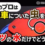【誰でも簡単にできる！】虫汚れ、洗車のプロはバケツの水だけでどう洗うのか？
