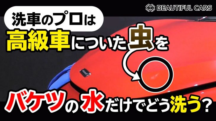 【誰でも簡単にできる！】虫汚れ、洗車のプロはバケツの水だけでどう洗うのか？