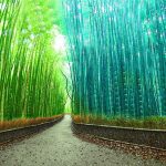 15 Incredible Places to Visit Before You Die