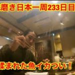 靴磨き日本一周233日目　御前崎の宣伝部長に接待を受けるin静岡