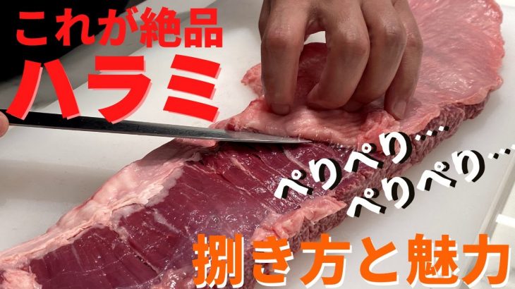 【肉磨きASMR】焼肉の定番！ハラミの捌き方