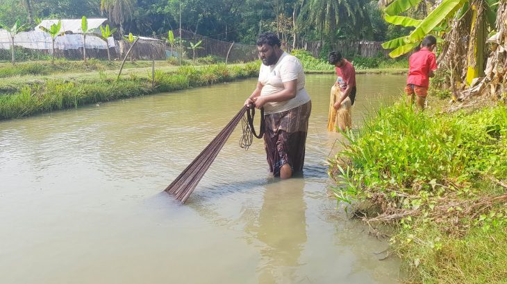 Amazing Net Fishing Video | Traditional Fish Catch In Village Pond | Unique & Best Fishing Video
