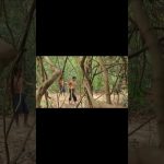 Building an underground pool