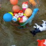 Experiment Whirlpool And Animal Toys Ep 21