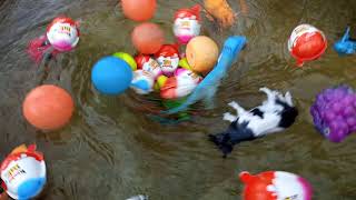 Experiment Whirlpool And Animal Toys Ep 21
