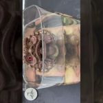 お金持ちになれる真鍮のライオン磨きLion Polish #short