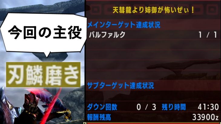 【MHXX】刃鱗磨きが快適すぎる動画【姉御バルファルク/双剣08’29″13】