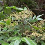 (Part2) A brave Girl built underground house in the mountain!