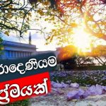 දවසක්…ඒවි… අපිත්..අපේ..හීන.. වලට…යාවී..??#Peradeniya is a prelude? university of peradeniya???