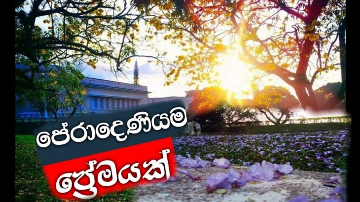 දවසක්…ඒවි… අපිත්..අපේ..හීන.. වලට…යාවී..??#Peradeniya is a prelude? university of peradeniya???
