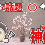 【あつ森アプデ】SNSで話題『家具磨き』の機能が神すぎる！【ハッピーホームパラダイス/アップデート/マイデザイン】