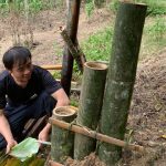 Survival instinct, wild alone, making water purifier from bamboo, building life (Ep 41)