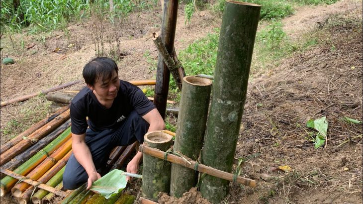 Survival instinct, wild alone, making water purifier from bamboo, building life (Ep 41)