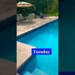 Swimming beauties ❤️❤️ _swim _shorts _swimer _ SWIM_SHORT _786 _ 786 _ swimming pool