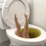 Worlds Largest Toilet Yellow Swimming Pool Compilation