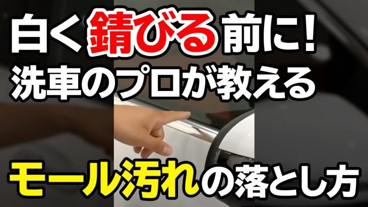 #shorts 洗車のプロが教える！モール部分が「錆びる前」に行う汚れの除去方法