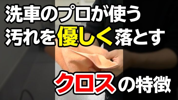 #shorts 洗車のプロが愛用！虫汚れを優しく落とす「洗車用クロス」の特徴