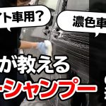 #shorts 車に優しいのはどっち？洗車のプロが教える「カーシャンプー」の選び方