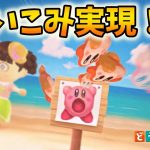 【あつ森】本当に吸い込むカービィ！？マイデザ使える家具磨きが神すぎた【ゆっくり解説】