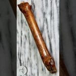 木材鏡面仕上げ 木の枝磨き wood polish #short