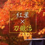 『紅葉』×『刀鍛冶』真っ赤に色づくモミジと刃を磨き鍛錬し続ける「日本刀」職人(2021年11月30日)