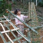 300 Days Alone Life… Build The Most Secret Underground House Shelter – Survival In The Forest