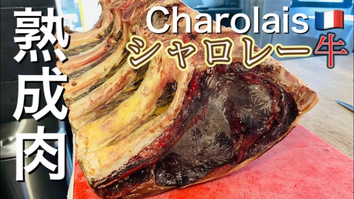 【肉磨き】45日熟成のシャロレー牛/ノコギリで捌く⁉︎ パリの星付きレストラン/45days Dry Aged Charolais Beef[SUB]
