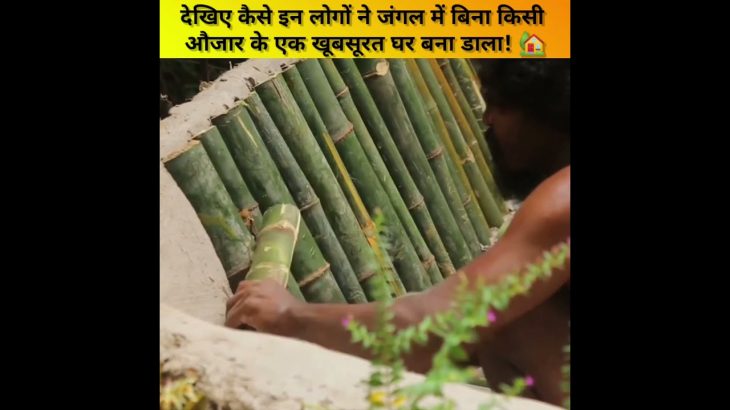 देखिए इन भाइयों ने जंगल में बनाया आकर्षक घर ??? | Amazing Facts #g2facts #shorts
