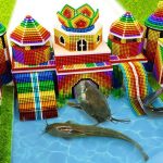 DIY – Build Underground Castle, Swimming Pool For Catfish And Eel From Magnet Balls ( Satisfying )