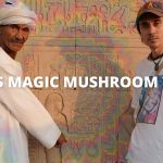 Egypt’s Magic Mushroom Temple ? ?