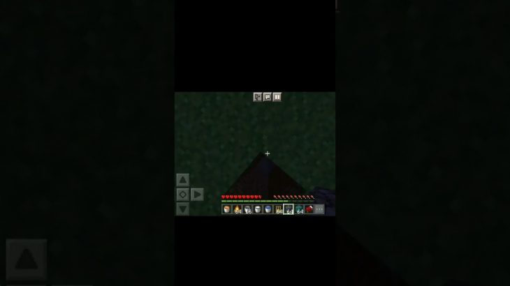 I Made A Secret Underground House Minecraft.    #shorts