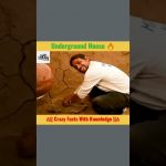 Underground house #shorts #youtubeshorts #viral #trending
