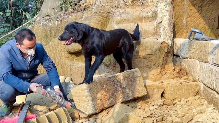 一人一山一狗，石屋建造梯步，迎来客人！