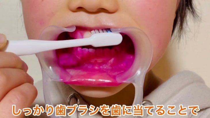 歯科衛生士が教える！！お口の磨き方（順番）