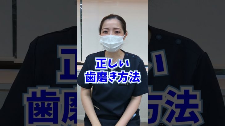 正しい歯の磨き方を歯科医師が教えます！