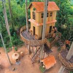 Absolutely Perfect ! Build Tree House Villa & Make Red Wine And Rescue Abaddon Puppies