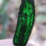 Build The Most Awesome Tunnel Water Slide To Swimming Pool And Underground Temple