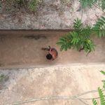 Build a Very Secret Underground Ancient Temple And Swimming Pool 01