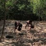 Build a Very Secret Underground Ancient Temple And Swimming Pool 04