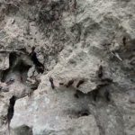 Build a Very Secret Underground Ancient Temple And Swimming Pool 08