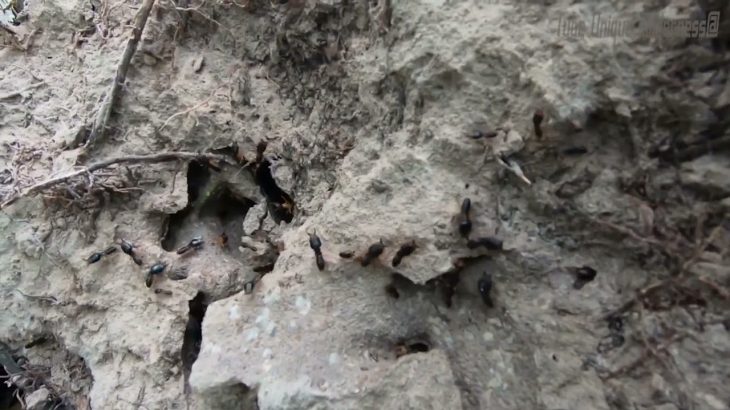 Build a Very Secret Underground Ancient Temple And Swimming Pool 08