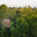 Building a Complete Warm Survival Treehouse, Bushcraft Tree House Shelter