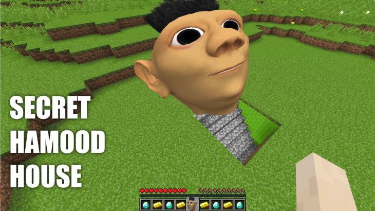 I found SECRET HAMOOD UNDERGROUND HOUSE in Minecraft!